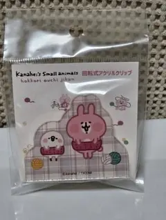 カナヘイの小動物ピスケ&うさぎ 回転式アクリルクリップ ほっこりおうち時間 A