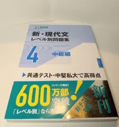 新・現代文レベル別問題集 4 中級編