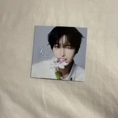 KO1KEYZ ViVi SHIYOUNG シヨン