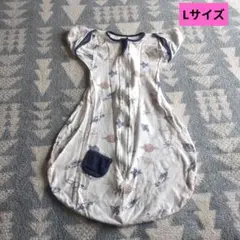 Item thumbnail for item aebc2976-7fc8-490b-8a05-698f66493b5f