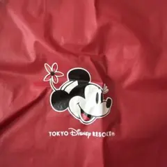 Disney キッズポンチョ ミニーのサムネイル
