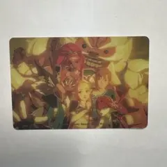 ゼルダの伝説 ブレス オブ ザ ワイルド カード