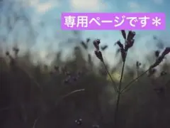 skygray様専用ページです☆