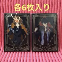 リボーン(71)《描き下ろしイラストカードセット ブラックスーツver.》