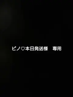 ピノ♡本日発送様　専用