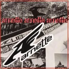arnetteアーネットUS限定型抜きウイングアイコンロゴステッカー