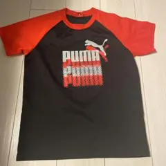 PUMA ロゴ Tシャツ 150サイズ 黒/赤