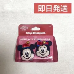 ディズニー クリスマス ミッキー ミニー リングセット