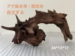 2026年最新】マシンガンウッドの人気アイテム - メルカリ