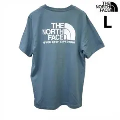 US限定 新品 ノースフェイス L ハーフドーム 両面 ロゴ 半袖Tシャツ