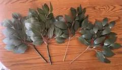 Item thumbnail for item 212cee26-2c3d-4bc1-bb55-75e4a751f5ef