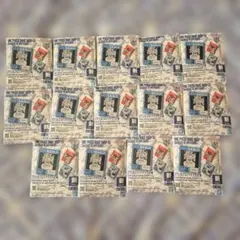 ONEPIECE BASESHOPくじ アクリルブロックチャーム14個　1－3月