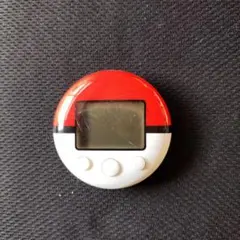 ポケウォーカー テレビゲーム