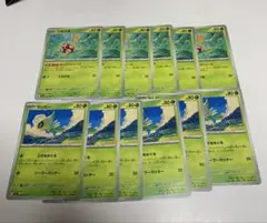 ツボツボ はっこうジュース セレビィ ときをめぐる