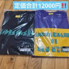 Item thumbnail for item 9df61c7b-7578-4311-82b8-f07ffde7696a