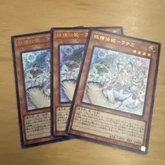 遊戯王　妖精伝姫ラチカ　ウルトラ3枚