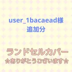 user_1bacaead様 追加分