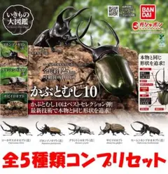 いきもの大図鑑 かぶとむし10 全5種類コンプリセット【新品】ガチャ