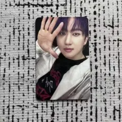 Stray Kids チャンビン サノク トレカ セット Stray Kids チャンビン サノク トレカ セット 【公式通販】