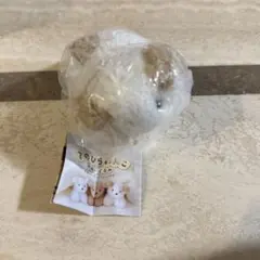 新品　てのひらわんこのぬいぐるみ　maru