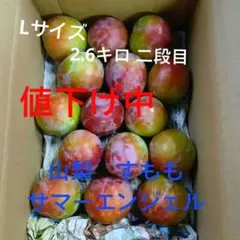 すもも　サマーエンジェル　Lサイズのサムネイル