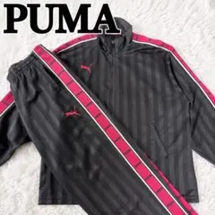 PUMA ジャージ 上下 セット グレー ピンク L プージャー 平成 Y2K