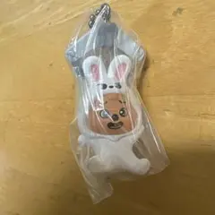 BANDAI SKZOO つんでつんでぬいぐるみ Vol.2 キーホルダー