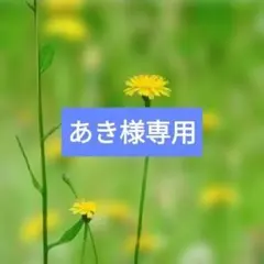 あき様専用