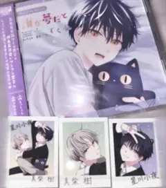 誰か夢だと言ってくれ CD ぱしゃこれセット