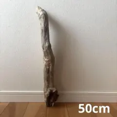 Item thumbnail for item 90653155-a4cb-403a-9596-97dd6c6eb015