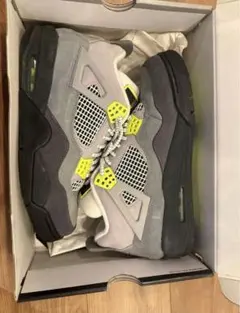 Air Jordan 4 Retro SE 10.5