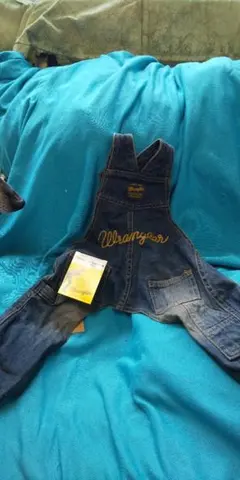 wranglerのオーバーオール