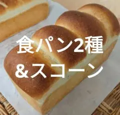 食パン2種&スコーン&パイセットのサムネイル
