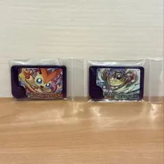 【新品未使用】ポケモンフレンダ　ルチャブル　ビクティニ　ベストタッグ第4弾