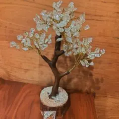 △ 41. 鉢植え ダイアモンドダスト 新品 - メルカリ