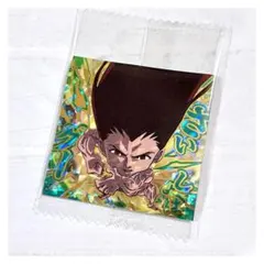 HUNTER × HUNTER ハンターハンター にふぉるめーしょん ゴン