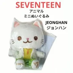 2026年最新】セブチ猫の人気アイテム - メルカリ