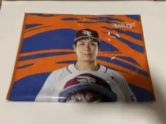 2026年最新】岡島豪郎 タオルの人気アイテム - メルカリ