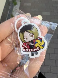 ハイキュー!! めじるしチャーム 孤爪研磨 くら寿司コラボ