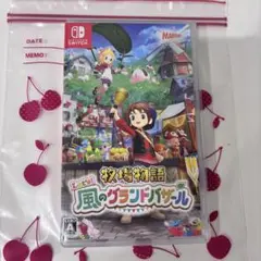 Switch 牧場物語 Let's!風のグランドバザール