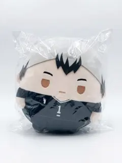 ハイキュー!! ふわコロりんMsize 北信介