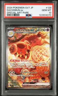 PSA10 バウッツェル ex SAR④ 2025年最新】バウッツェルex sar psa10の人気アイテム - メルカリ