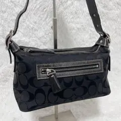 コーチ　 ワンショルダーバッグ　 ハンドバッグ　シグネチャー