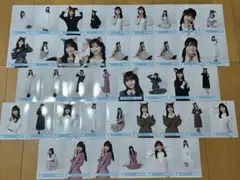 日向坂46 生写真41枚セット【ねこみみコーデ】