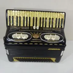 2025年最新】excelsior 400 アコーディオンの人気アイテム - メルカリ