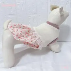 犬服 ハンドメイド バルーンワンピース Sサイズ 小型犬 チェリー柄 フリル