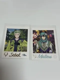 ツイステ展 ランダムカードコレクション マレウス セベク