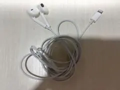 Apple iPhone イヤホン　yasu ya suさん専用