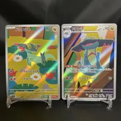 ドラメシヤAR ドロンチAR 2枚セットMEGAドリームex