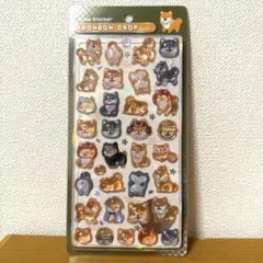 【正規品】 即日発送　ボンボンドロップシール　しば犬